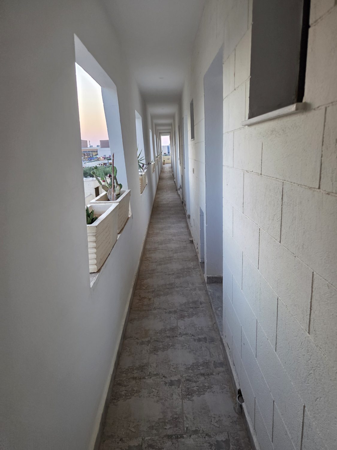 The guest walkway, planters along the windows