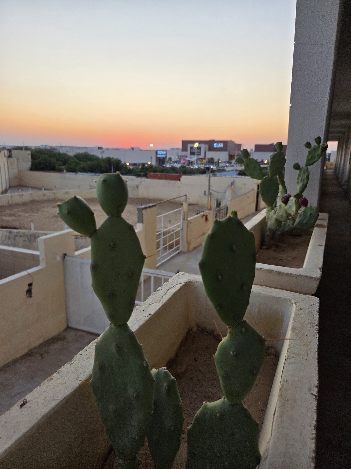 Sunset from a guest balcony above the arena