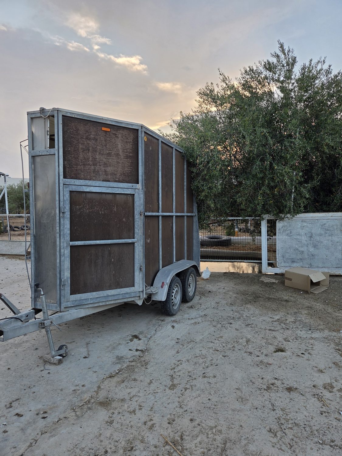 The horsebox, ready for beach rides and shows