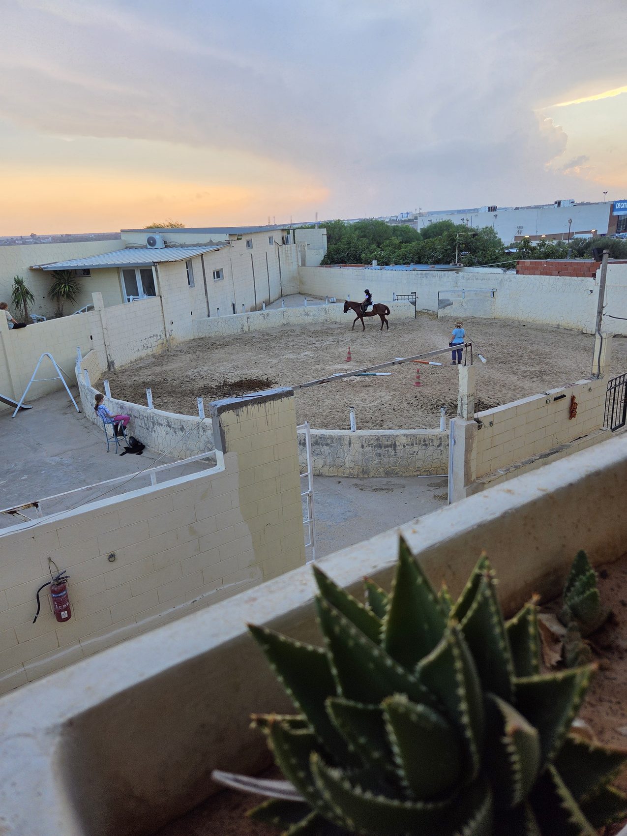 Dusk over the training arena, seen from a guest balcony