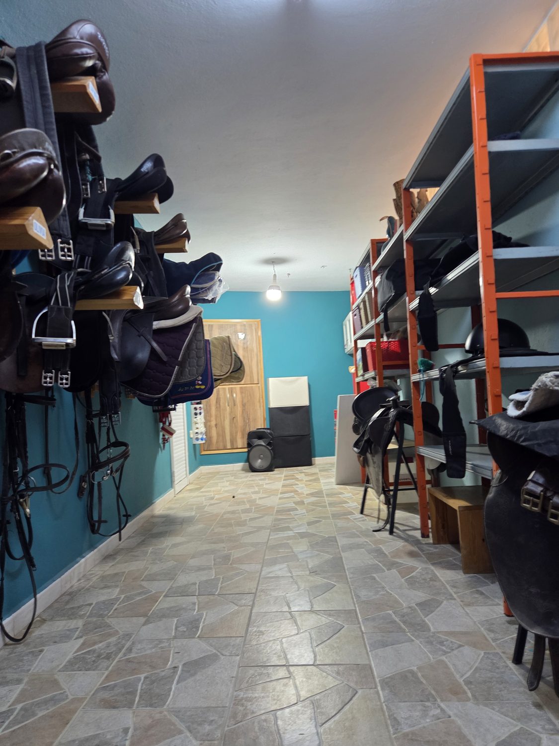 Saddles and bridles in the tack room